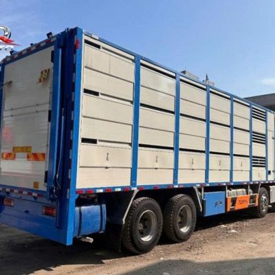 Xe Chở Heo Giống ChengLong H7 400HP - Ảnh 2